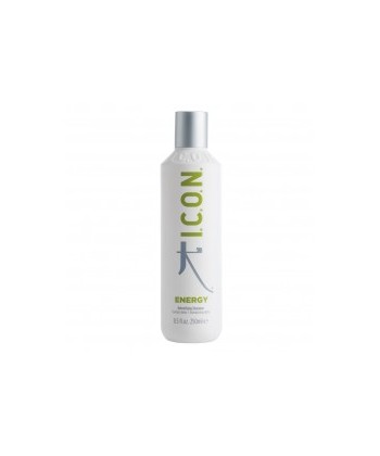 ENERGY 250 ML