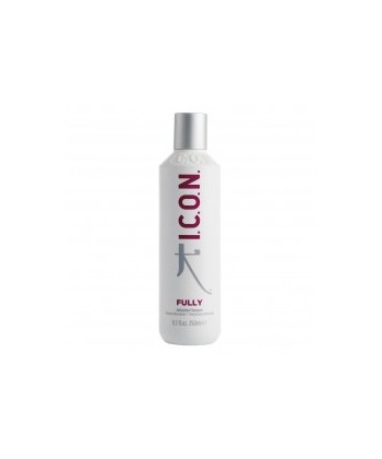 FULLY 250 ML
